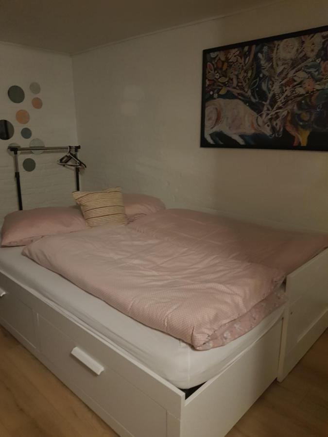 Trandafir Guesthouse Egtved Екстериор снимка