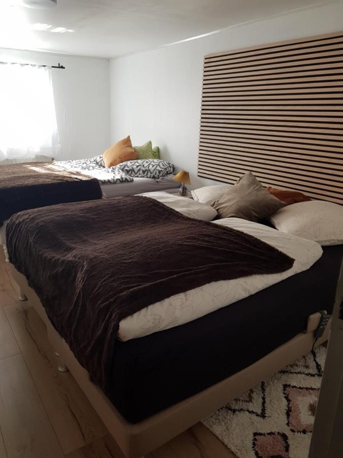 Trandafir Guesthouse Egtved Екстериор снимка