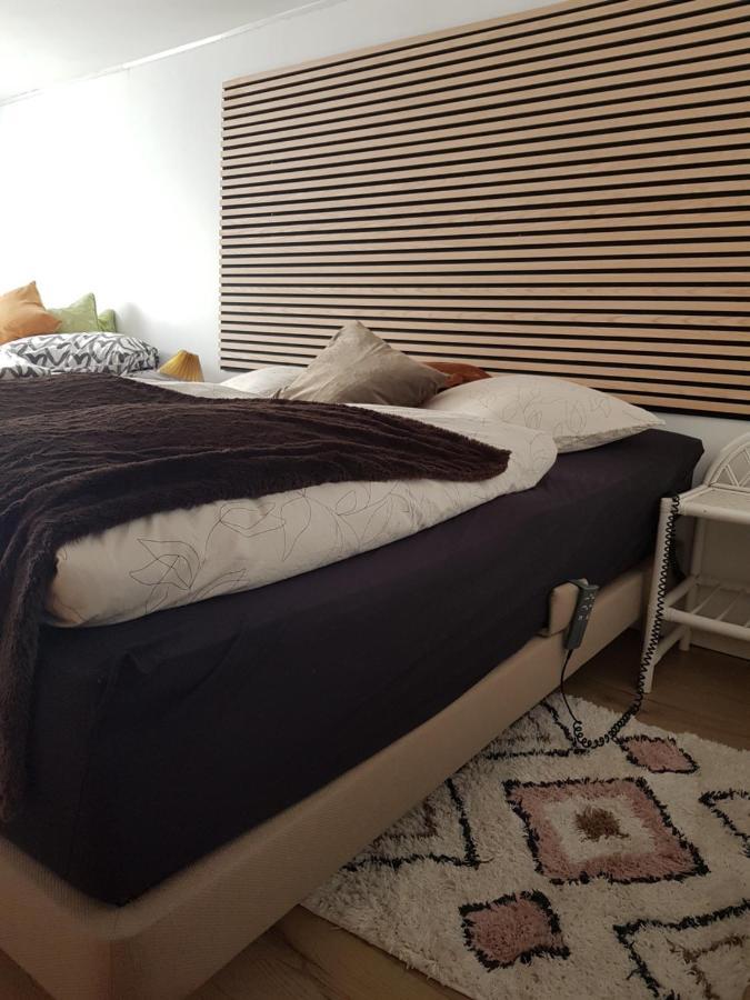 Trandafir Guesthouse Egtved Екстериор снимка