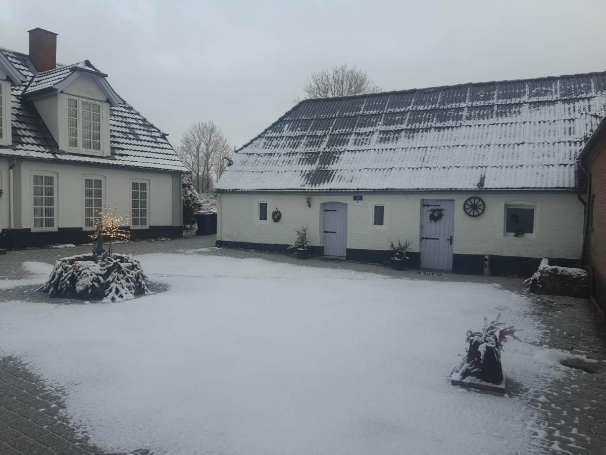 Trandafir Guesthouse Egtved Екстериор снимка